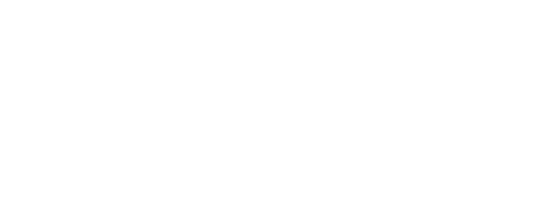 Pro Pilot Drones website logo